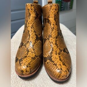Aerosoles Brandi python embossed faux leather Chelsea ankle boots. NWOB SZ 9.5M
